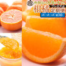 厳選 柑橘定期便S（4～6月）全3回 ［IKE289］