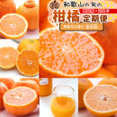 家庭用 柑橘定期便S（奇数月）全6回 ［IKE301］
