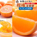 家庭用 柑橘定期便S（4～6月）全3回 ［IKE304］