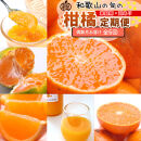 家庭用 柑橘定期便M（偶数月）全6回 ［IKE309］
