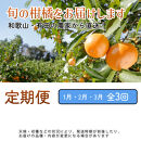 家庭用 柑橘定期便M（1～3月）全3回 ［IKE310］