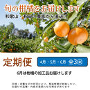 家庭用 柑橘定期便M（4～6月）全3回 ［IKE311］