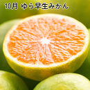 厳選&nbsp;柑橘定期便SS（10～12月）全3回【みかん定期便お試し版】［IKE284］