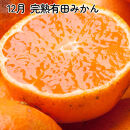 家庭用&nbsp;柑橘定期便SS（10～12月）全3回【みかん定期便お試し版】&nbsp;［IKE299］