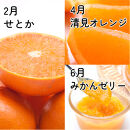 家庭用&nbsp;柑橘定期便M（偶数月）全6回&nbsp;［IKE309］