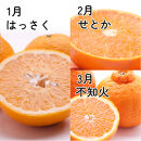家庭用&nbsp;柑橘定期便M（1～3月）全3回&nbsp;［IKE310］