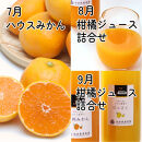 厳選&nbsp;柑橘定期便M（7～9月）全3回&nbsp;［IKE297］
