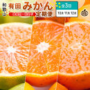 家庭用&nbsp;柑橘定期便SS（10～12月）全3回【みかん定期便お試し版】&nbsp;［IKE299］