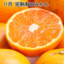 家庭用&nbsp;柑橘定期便SS（10～12月）全3回【みかん定期便お試し版】&nbsp;［IKE299］