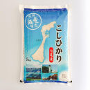 七尾産こしひかり10kg（精米5kg×2袋）　令和7年産