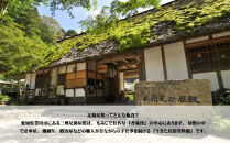 和傘らんぷしぇーど作り体験&nbsp;お一人様体験&nbsp;昼食、デザート付き