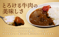 【黄桜】京都麦酒地ビールカレー（200ｇ×10個）［&nbsp;キザクラ&nbsp;京都&nbsp;レトルト&nbsp;カレー&nbsp;人気&nbsp;おすすめ&nbsp;定番&nbsp;ギフト&nbsp;プレゼント&nbsp;贈答&nbsp;ご自宅用&nbsp;お取り寄せ&nbsp;おいしい&nbsp;］