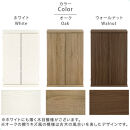 【完成品でお届け】扉付き本棚〔薄型タイプ〕（ホワイト）本棚&nbsp;扉付き&nbsp;幅60&nbsp;スリム&nbsp;薄型&nbsp;書棚&nbsp;木製&nbsp;収納&nbsp;収納棚&nbsp;扉付&nbsp;キャビネット&nbsp;棚&nbsp;扉&nbsp;大容量&nbsp;約&nbsp;高さ91&nbsp;ロータイプ&nbsp;漫画ラック&nbsp;文庫本&nbsp;漫画&nbsp;AKANBR920112-0-WH