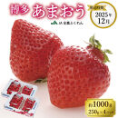 【数量限定】＜2025年12月発送＞博多あまおう約250ｇ×４