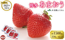 【数量限定】＜2025年12月発送＞博多あまおう約250ｇ×６