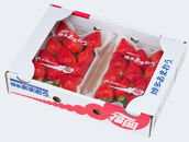 ＜2026年1月～2月発送＞博多あまおう約250ｇ×６