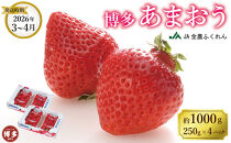 ＜2026年3月～4月発送＞博多あまおう約250ｇ×４