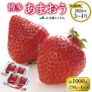 ＜2026年3月～4月発送＞博多あまおう約250ｇ×４