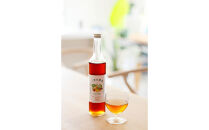 三世代酵素(福岡市返礼品) １本500ml×２本セット