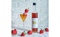 三世代酵素(福岡市返礼品) １本500ml×２本セット