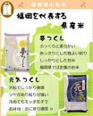 福岡県産&nbsp;夢つくし10kg&nbsp;(5kg×2袋)&nbsp;(令和7年産)