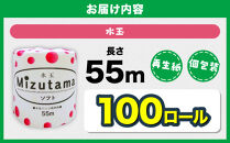 トイレットペーパー&nbsp;シングル&nbsp;備蓄&nbsp;水玉&nbsp;55ｍ&nbsp;100ロール&nbsp;|&nbsp;トイレットペーパー&nbsp;シングル&nbsp;無香料&nbsp;個包装&nbsp;といれっとぺーぱー&nbsp;日用品&nbsp;消耗品&nbsp;生活用品&nbsp;トイレ用品&nbsp;雑貨&nbsp;防災備蓄&nbsp;人気&nbsp;おすすめ&nbsp;トイレットペーパー&nbsp;送料無料&nbsp;福岡市