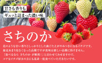 神奈川県新品種「かなこまち＆さちのか」食べ比べセット　完熟イチゴ　苺　4パック入り