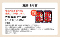 大粒厳選さちのか　希少いちご　神奈川県産　苺　２パック入り