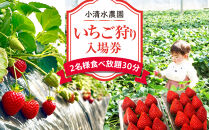 いちご狩り　入場券　2名様　食べ放題30分
