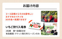 いちご狩り　入場券　2名様　食べ放題30分