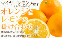 （先行予約）【&nbsp;南信州レモン&nbsp;】ハウス栽培減農薬&nbsp;「&nbsp;マイヤーレモン&nbsp;」（1.2kg）と無添加「マイヤーレモン&nbsp;ママレード」（150g×1個）宮田村&nbsp;南信州産&nbsp;ジャム&nbsp;&nbsp;マーマレード&nbsp;メイヤーレモン&nbsp;柑橘&nbsp;フルーツ&nbsp;ジャム&nbsp;国産&nbsp;レモンピール&nbsp;ギフト&nbsp;ヘルシー