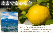 （先行予約）【&nbsp;南信州レモン&nbsp;】ハウス栽培減農薬&nbsp;「&nbsp;マイヤーレモン&nbsp;」（1.2kg）と無添加「マイヤーレモン&nbsp;ママレード」（150g×1個）宮田村&nbsp;南信州産&nbsp;ジャム&nbsp;&nbsp;マーマレード&nbsp;メイヤーレモン&nbsp;柑橘&nbsp;フルーツ&nbsp;ジャム&nbsp;国産&nbsp;レモンピール&nbsp;ギフト&nbsp;ヘルシー