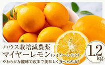 （先行予約）【&nbsp;南信州レモン&nbsp;】ハウス栽培減農薬&nbsp;「&nbsp;マイヤーレモン&nbsp;」（1.2kg）と無添加「マイヤーレモン&nbsp;ママレード」（150g×1個）宮田村&nbsp;南信州産&nbsp;ジャム&nbsp;&nbsp;マーマレード&nbsp;メイヤーレモン&nbsp;柑橘&nbsp;フルーツ&nbsp;ジャム&nbsp;国産&nbsp;レモンピール&nbsp;ギフト&nbsp;ヘルシー