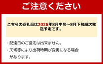 【先行予約】有田巨峰村三木と園のあま～いジューシー！&nbsp;種あり&nbsp;藤稔（ふじみのり）2kg(4〜6房)