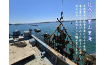 盛ちゃん（湯田水産）&nbsp;能登牡蠣&nbsp;殻付き&nbsp;一斗缶（７０個前後）&nbsp;約11kg&nbsp;加熱用