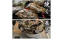 盛ちゃん（湯田水産）&nbsp;能登牡蠣&nbsp;殻付き&nbsp;一斗缶（７０個前後）&nbsp;約11kg&nbsp;加熱用