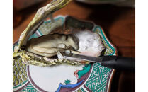 盛ちゃん（湯田水産）&nbsp;能登牡蠣&nbsp;殻付き&nbsp;一斗缶（７０個前後）&nbsp;約11kg&nbsp;加熱用