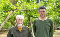 ［梅干・梅酒用］小粒（SまたはM－3Kg）熟南高梅＜2026年6月下旬～7月中旬発送予定＞フルーツ&nbsp;果物&nbsp;くだもの&nbsp;食品&nbsp;人気&nbsp;おすすめ&nbsp;送料無料［ART20］