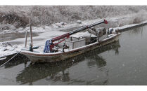 盛ちゃん（湯田水産）&nbsp;能登牡蠣&nbsp;殻付き&nbsp;半缶（３５個前後）&nbsp;約5.5kg&nbsp;加熱用