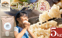 【玄米】令和7年産&nbsp;コシヒカリ5kg【こしひかり&nbsp;米&nbsp;お米&nbsp;こめ&nbsp;コメ&nbsp;玄米&nbsp;5kg&nbsp;5キロ&nbsp;ごはん&nbsp;ご飯&nbsp;お弁当&nbsp;弁当&nbsp;おにぎり&nbsp;おむすび&nbsp;甘み&nbsp;甘い&nbsp;もっちり&nbsp;もちもち&nbsp;2025年産&nbsp;令和7年産&nbsp;国産&nbsp;鳥取県産&nbsp;人気&nbsp;おすすめ&nbsp;鳥取県&nbsp;琴浦町&nbsp;送料無料】