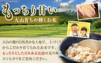 【玄米】令和7年産&nbsp;コシヒカリ5kg【こしひかり&nbsp;米&nbsp;お米&nbsp;こめ&nbsp;コメ&nbsp;玄米&nbsp;5kg&nbsp;5キロ&nbsp;ごはん&nbsp;ご飯&nbsp;お弁当&nbsp;弁当&nbsp;おにぎり&nbsp;おむすび&nbsp;甘み&nbsp;甘い&nbsp;もっちり&nbsp;もちもち&nbsp;2025年産&nbsp;令和7年産&nbsp;国産&nbsp;鳥取県産&nbsp;人気&nbsp;おすすめ&nbsp;鳥取県&nbsp;琴浦町&nbsp;送料無料】