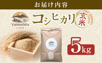 【玄米】令和7年産&nbsp;コシヒカリ5kg【こしひかり&nbsp;米&nbsp;お米&nbsp;こめ&nbsp;コメ&nbsp;玄米&nbsp;5kg&nbsp;5キロ&nbsp;ごはん&nbsp;ご飯&nbsp;お弁当&nbsp;弁当&nbsp;おにぎり&nbsp;おむすび&nbsp;甘み&nbsp;甘い&nbsp;もっちり&nbsp;もちもち&nbsp;2025年産&nbsp;令和7年産&nbsp;国産&nbsp;鳥取県産&nbsp;人気&nbsp;おすすめ&nbsp;鳥取県&nbsp;琴浦町&nbsp;送料無料】