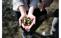 小豆島産エキストラバージンオリーブオイル”ハンドメイド”1本とスペイン産エキストラバージンオリーブオイル1本／&nbsp;合計2本セット