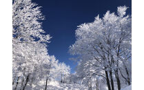 [令和7年産]新潟県認証特別栽培米　南魚沼産こしひかり5kg