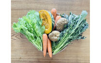 有機野菜詰め合わせセット(&nbsp;5～6種類)