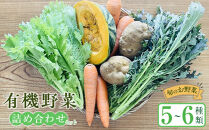 有機野菜詰め合わせセット(&nbsp;5～6種類)