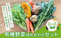 有機野菜詰め合わせセット(&nbsp;5～6種類)