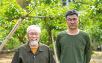 ［梅干・梅酒用］小粒（SまたはM－3Kg）熟南高梅＜2026年6月下旬～7月中旬発送予定＞フルーツ&nbsp;果物&nbsp;くだもの&nbsp;食品&nbsp;人気&nbsp;おすすめ&nbsp;送料無料［ART20］