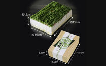 【吟匠庵】箱入りモンブラン&nbsp;栗、いとをかし&nbsp;抹茶｜京都&nbsp;スイーツブランド&nbsp;大人気スイーツ&nbsp;[&nbsp;極細栗糸モンブラン&nbsp;抹茶スイーツ&nbsp;栗&nbsp;マロン&nbsp;贅沢&nbsp;おいしい&nbsp;グルメ&nbsp;おしゃれ&nbsp;人気&nbsp;おすすめ&nbsp;お菓子&nbsp;洋菓子&nbsp;ギフト&nbsp;プレゼント&nbsp;贈答&nbsp;お取り寄せ&nbsp;通販&nbsp;送料無料&nbsp;ふるさと納税&nbsp;]