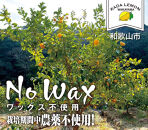 加太レモンの&nbsp;レモン果汁（ストレート）1,000ml